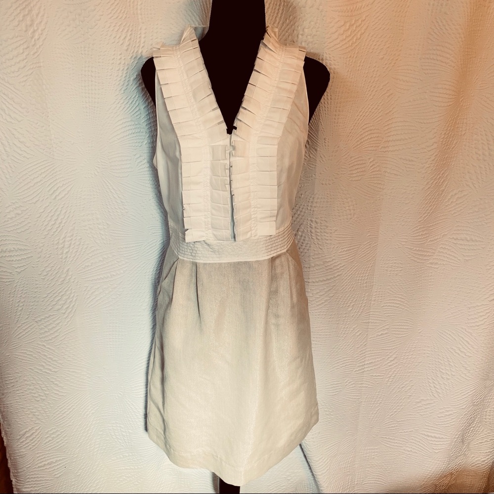 Ann Taylor Loft Dress